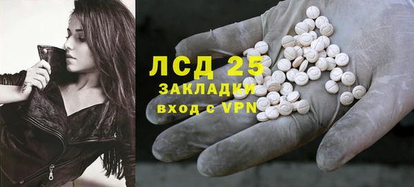 индика Абинск
