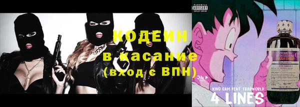 индика Абинск