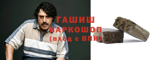 индика Абинск