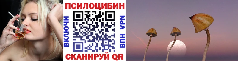 Псилоцибиновые грибы прущие грибы  kraken как зайти  Нерехта  купить  сайты 